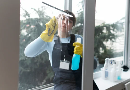 Nettoyage de vitres intérieures et extérieures à Davayat